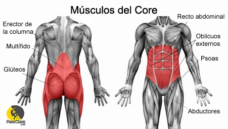 musculos-del-core-1